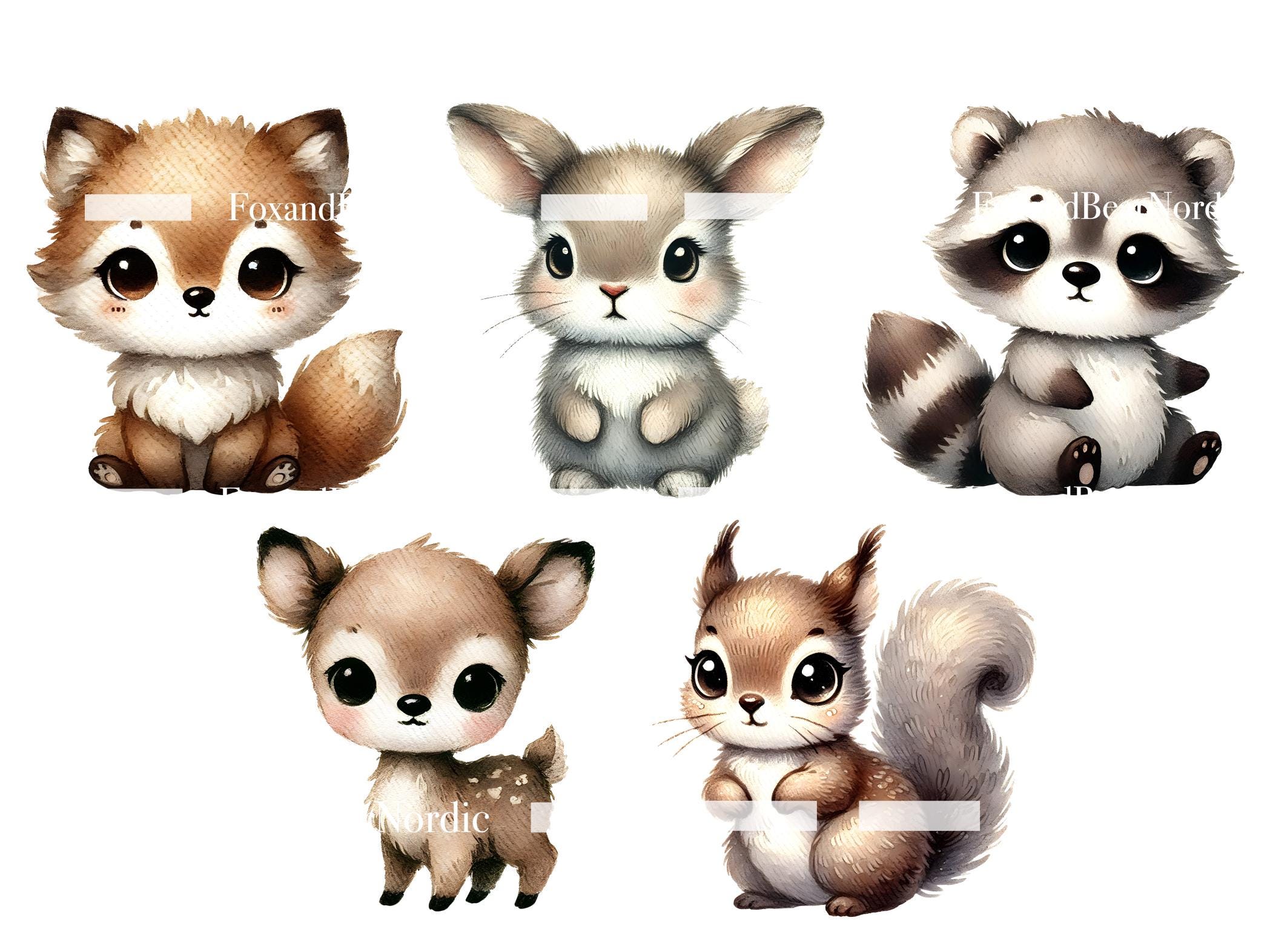 Woodland Animals Clipart: Nursery PNG Images (Commercial Use) image 4