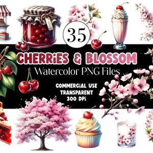 Aquarell Kirsche Clipart Kirschblütenbaum Kirschtorte Kirsche PNG Aquarell Clipart Aquarell Clip Art Digitale Aufkleber Kommerzielle Nutzung