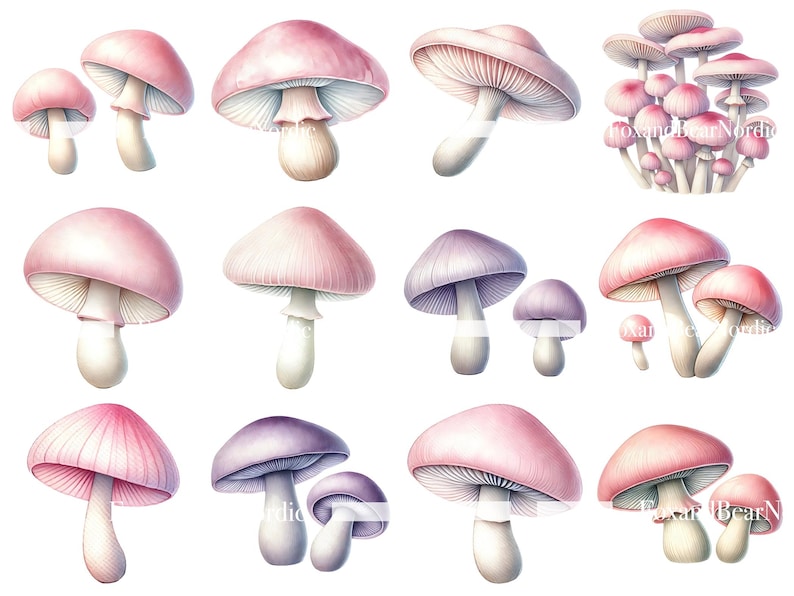 Watercolor Mushroom Clipart Fairy House Clipart Mushrooms PNG Pastel ...