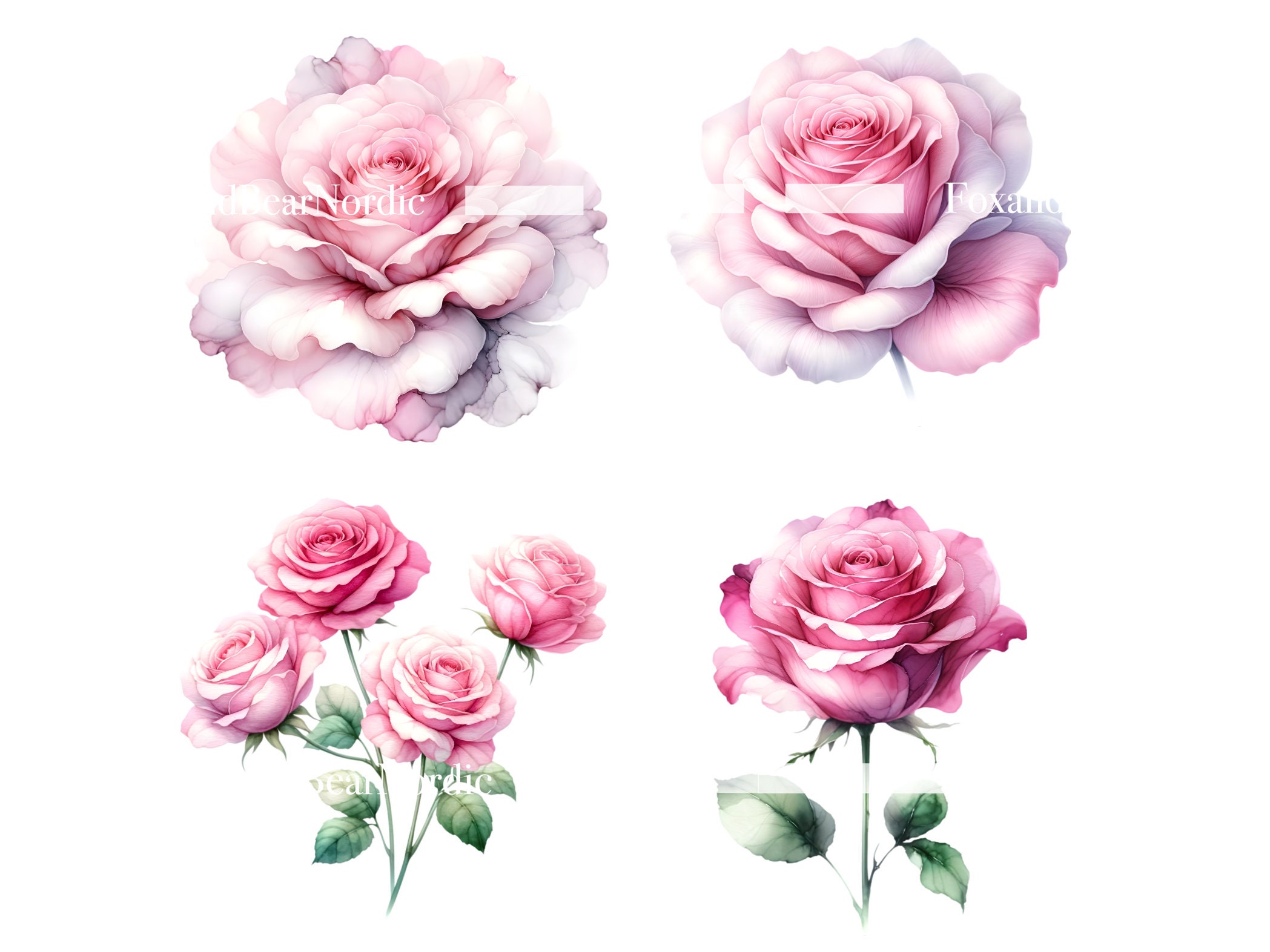 Watercolor Pink Roses Clipart Floral Clipart Watercolor Flowers Clipart Pink Floral Watercolor Clipart Wedding Clipart Mothers Day Clipart image 6