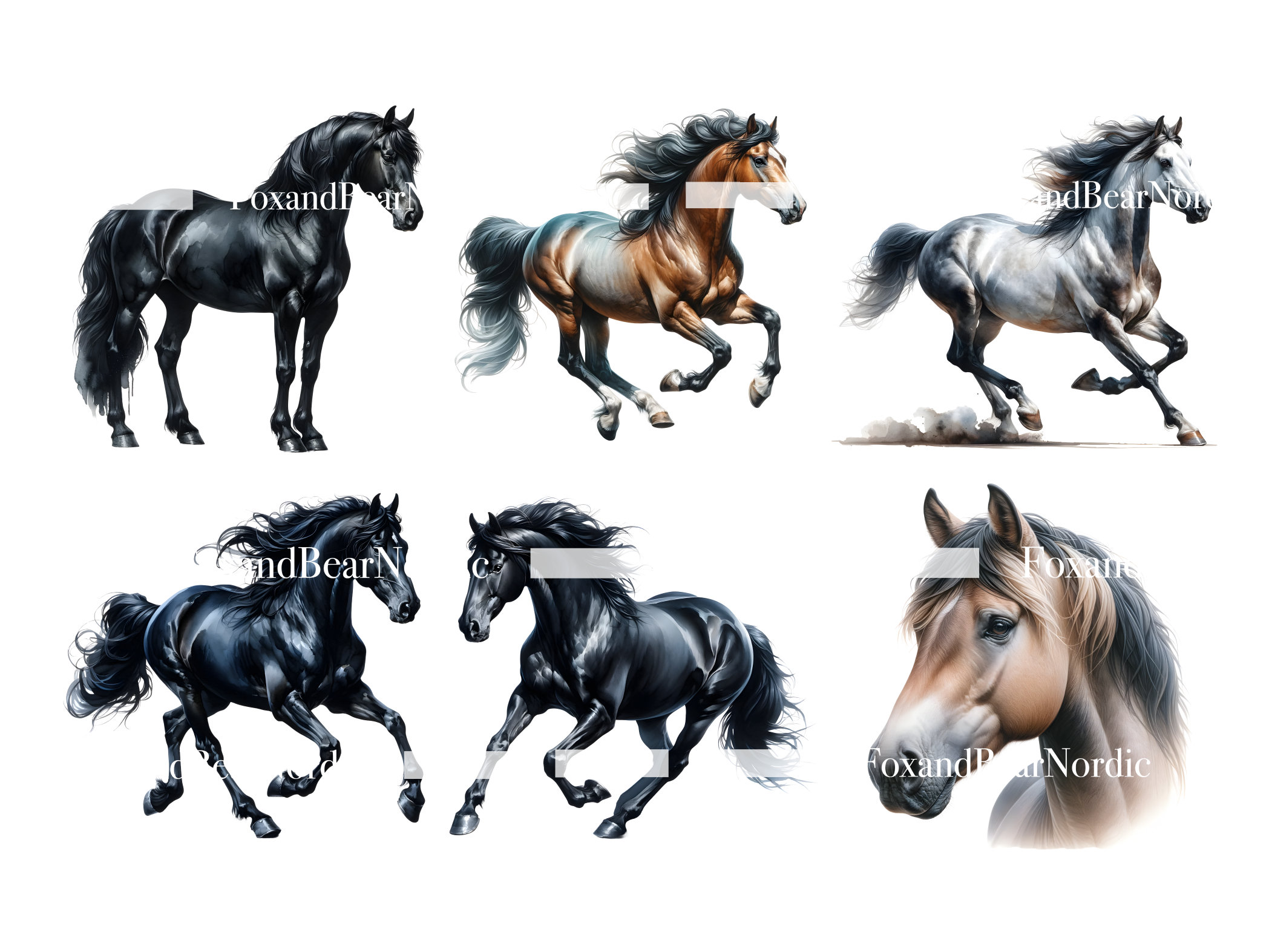 Watercolor Horse Clipart Horse Illustration Horse PNG Running Horse Animal Clipart PNG Watercolor Clipart Watercolor Clip Art Commercial Use image 5