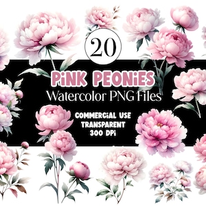 Aquarell rosa Pfingstrosen Clipart, Floral Clipart, Pfingstrose, Blumen Clipart, rosa Blumen Aquarell Clipart, Hochzeit Clipart, Muttertag Clipart