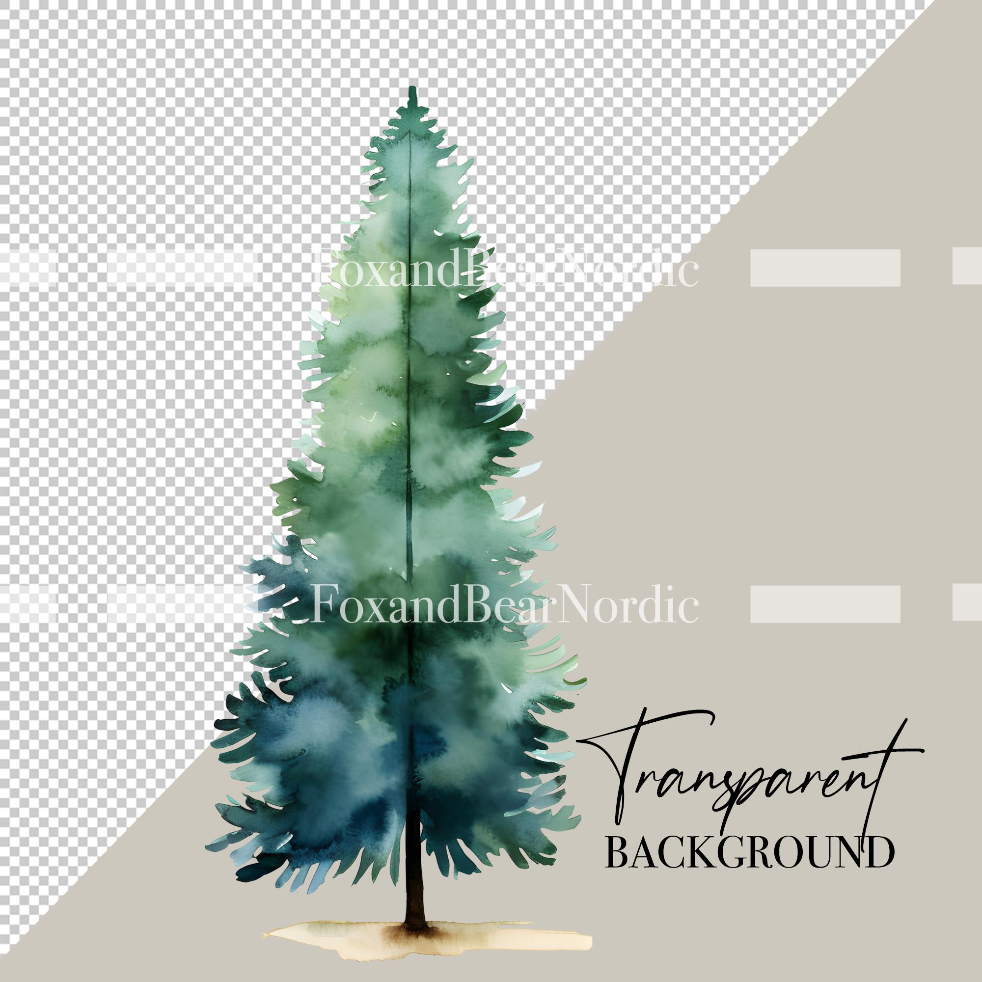 Watercolor Pine Tree Clipart: Woodland PNG Graphics (Commercial Use) image 3