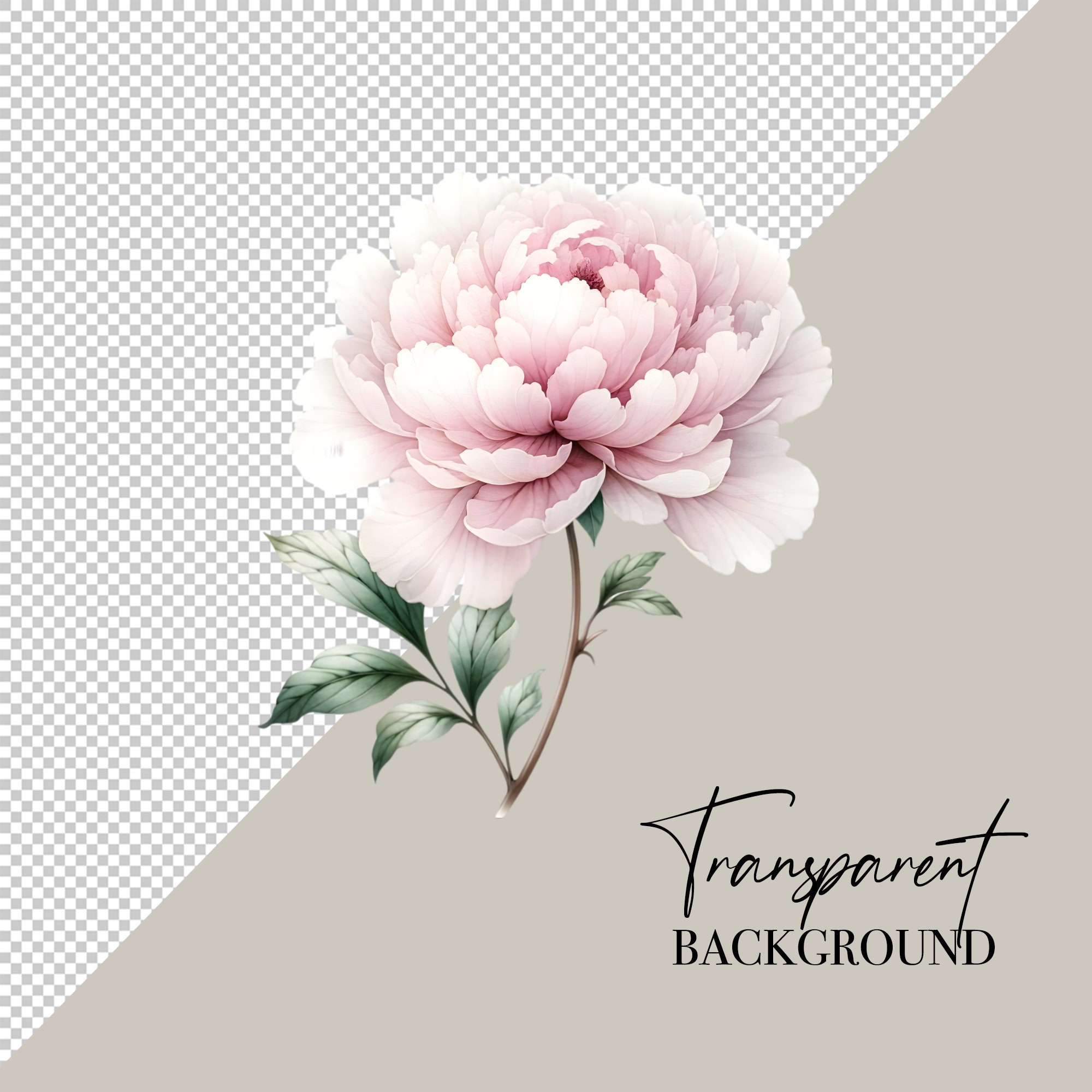 Watercolor Pink Peonies Clipart Floral Clipart Peony Flower Clipart Pink Floral Watercolor Clipart Wedding Clipart Mothers Day Clipart image 3