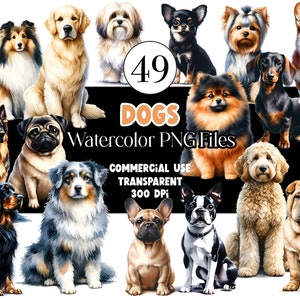 Bundle de cliparts de races de chiens aquarelle chien PNG Golden Retriever PNG Labradoodle PNG Berger allemand Boston Terrier Corgi usage commercial