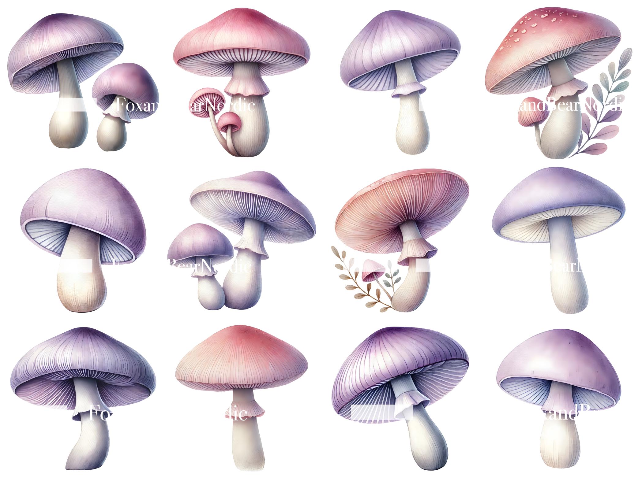 Watercolor Mushroom Clipart Fairy House Clipart Mushrooms PNG Pastel Mushroom Magic Mushrooms Fairy Garden House Pastel Fall Commercial Use image 5