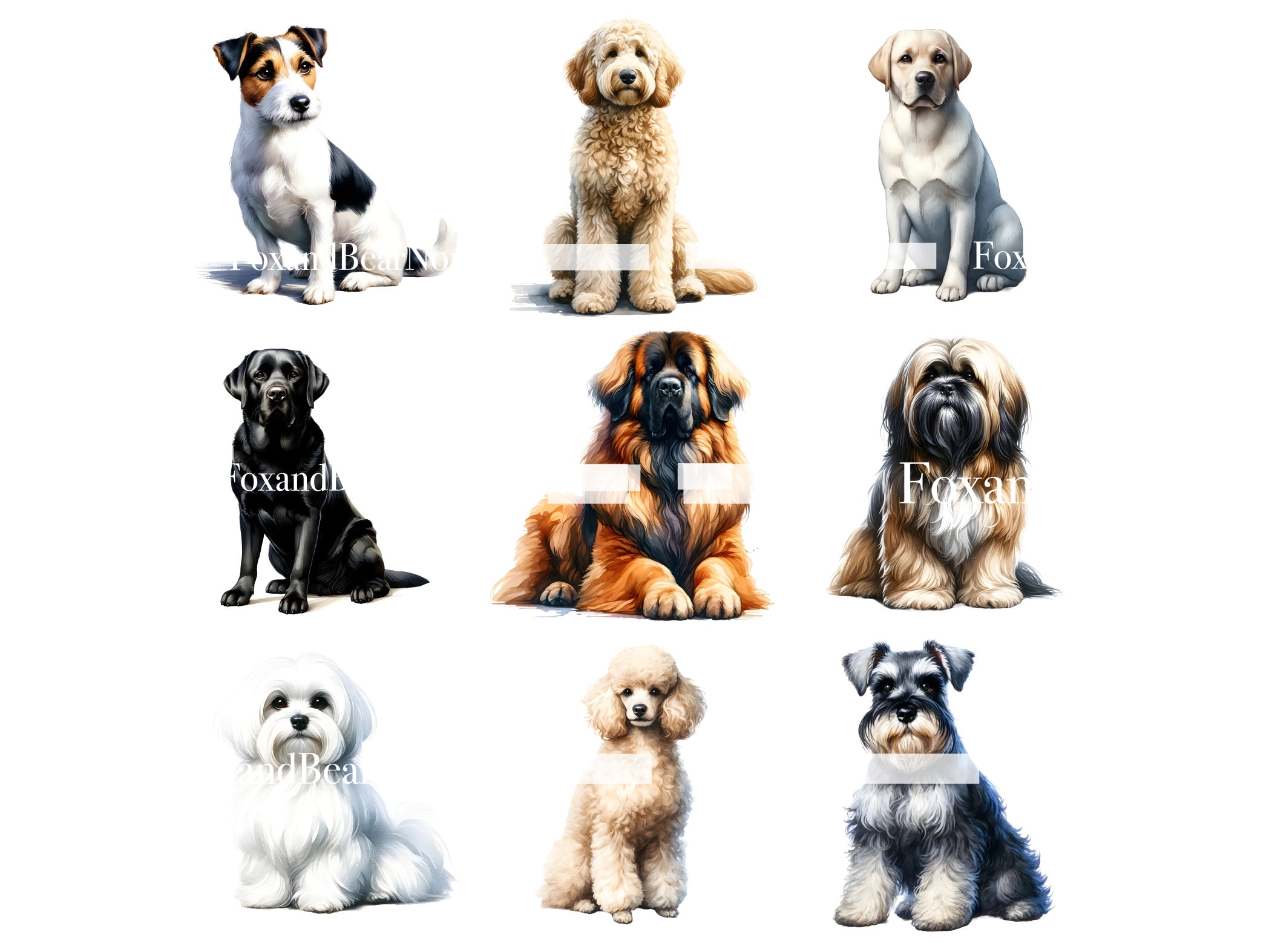 Watercolor Dog Breeds Clipart Bundle Dog PNG Golden Retriever PNG Labradoodle PNG German Shepherd Boston Terrier Corgi Commercial Use image 8