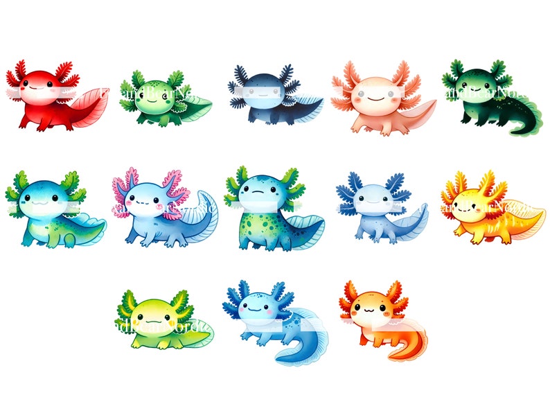 May include: A set of 12 colorful axolotl illustrations. The axolotls are drawn in a cartoon style with different colors and expressions. They are all facing forward and have a friendly appearance.