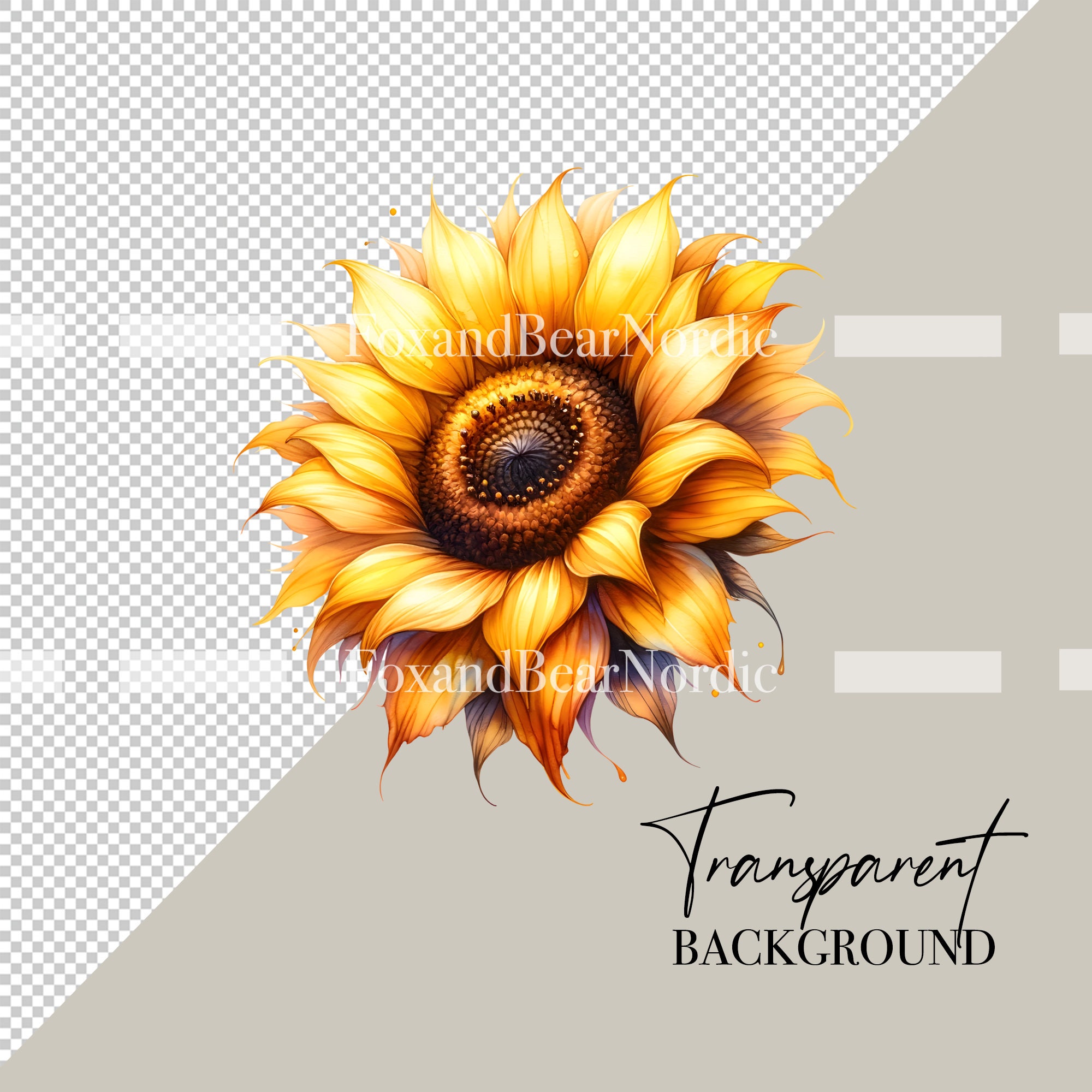 Watercolor Sunflower Clipart Sunflower Border Flower Clipart Sunflower PNG Spring PNG Summer Clipart Watercolor Clip Art Commercial Use image 3