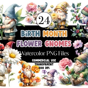 Aquarela Mês De Nascimento Flor Gnomos Clipart Nascimento Flor Clipart PNG Gnomo Clip Art Aquarela Clipart Aquarela Clip Art Uso comercial