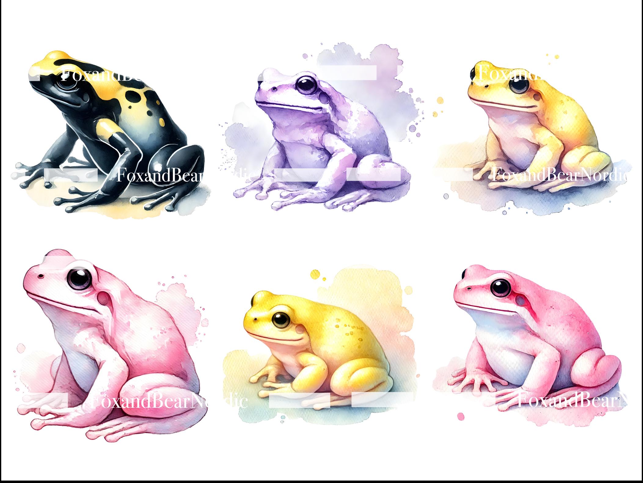 Watercolor Frog Clipart Animal Clipart PNG Kids Clipart Cute Frogs Toad Amphibian Birthday PNG Watercolor Clipart Clip Art Commercial Use image 6