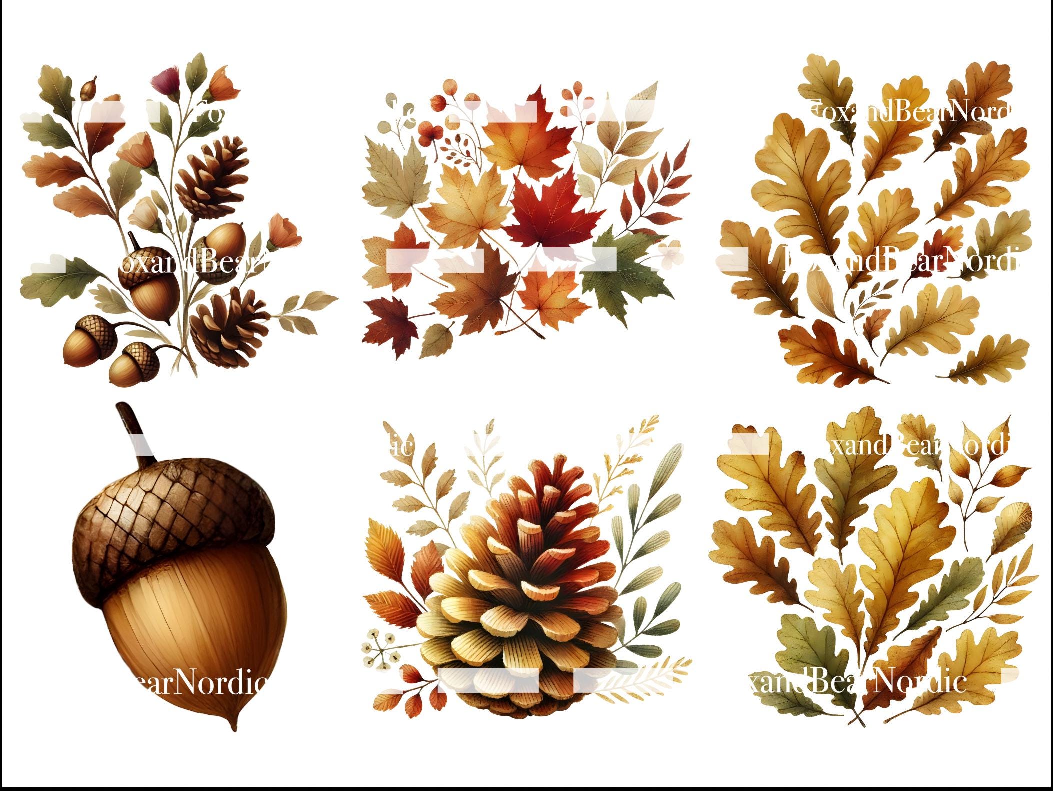Cozy Cottage Core Watercolor Pumpkin Clipart PNG Bundle Cozy Fall ...