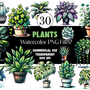 Watercolor Plants Clipart Succulent PNG Cactus Monstera Watercolor Clipart Watercolor Clip Art Digital Stickers Download Commercial Use