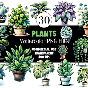 Acuarela Plantas Clipart Suculenta PNG Cactus Monstera Acuarela Clipart Acuarela Clip Art Pegatinas Digitales Descargar Uso Comercial