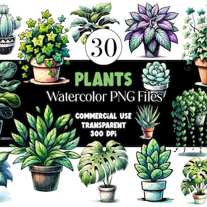 Watercolor Plants Clipart Succulent PNG Cactus Monstera Watercolor Clipart Watercolor Clip Art Digital Stickers Download Commercial Use