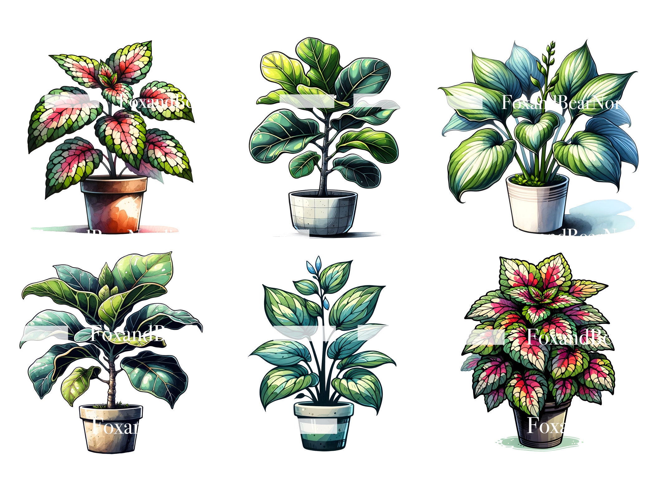 Watercolor Plants Clipart Succulent PNG Cactus Monstera Watercolor Clipart Watercolor Clip Art Digital Stickers Download Commercial Use image 5
