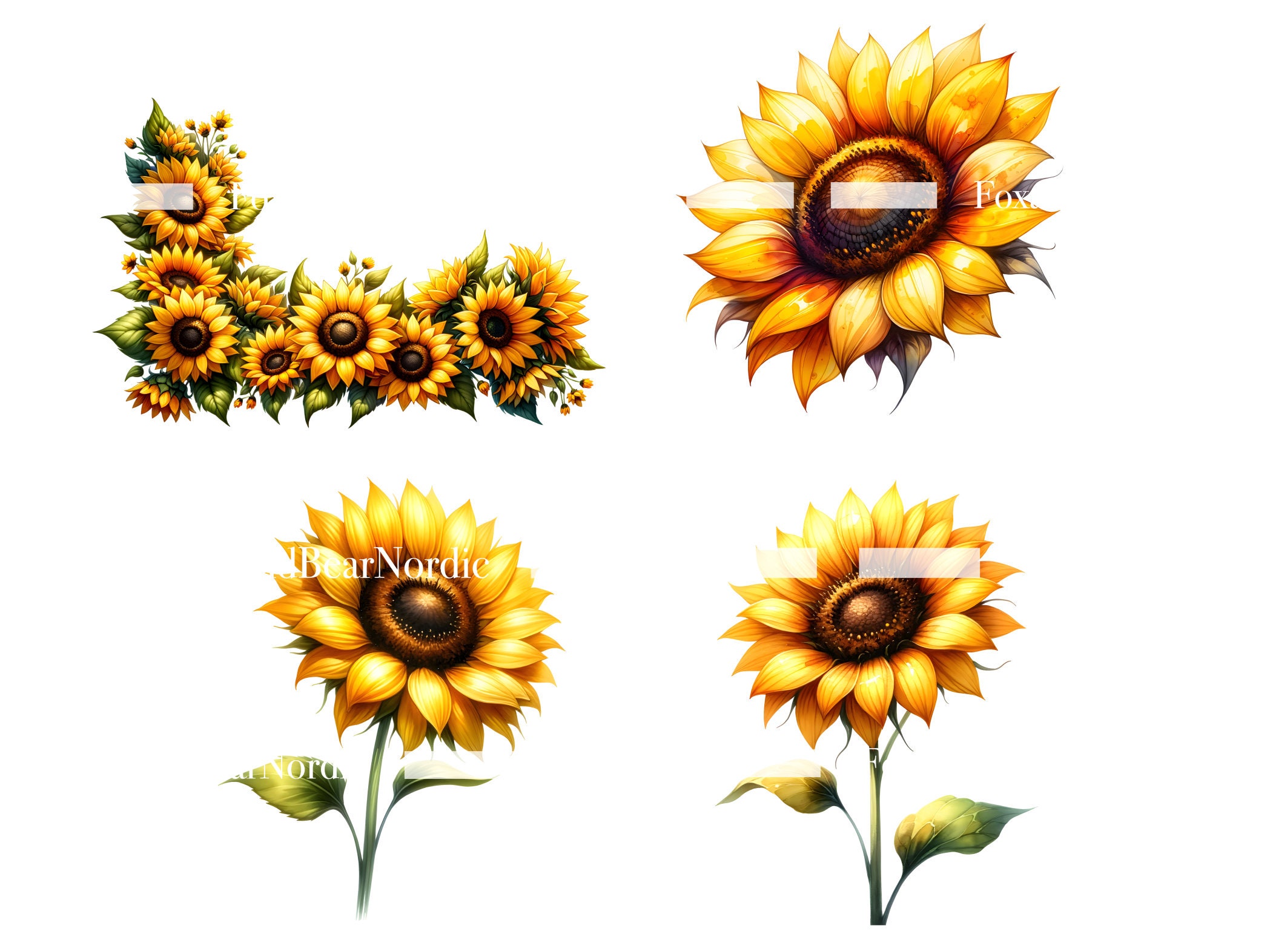 Watercolor Sunflower Clipart Sunflower Border Flower Clipart Sunflower PNG Spring PNG Summer Clipart Watercolor Clip Art Commercial Use image 7