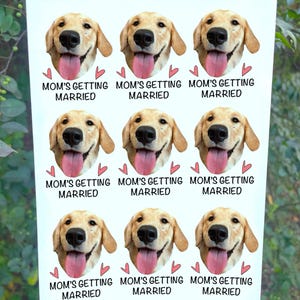 May include: Nine white stickers with a golden retriever dog's face and the text "Mom's Getting Married" with pink hearts on each side.