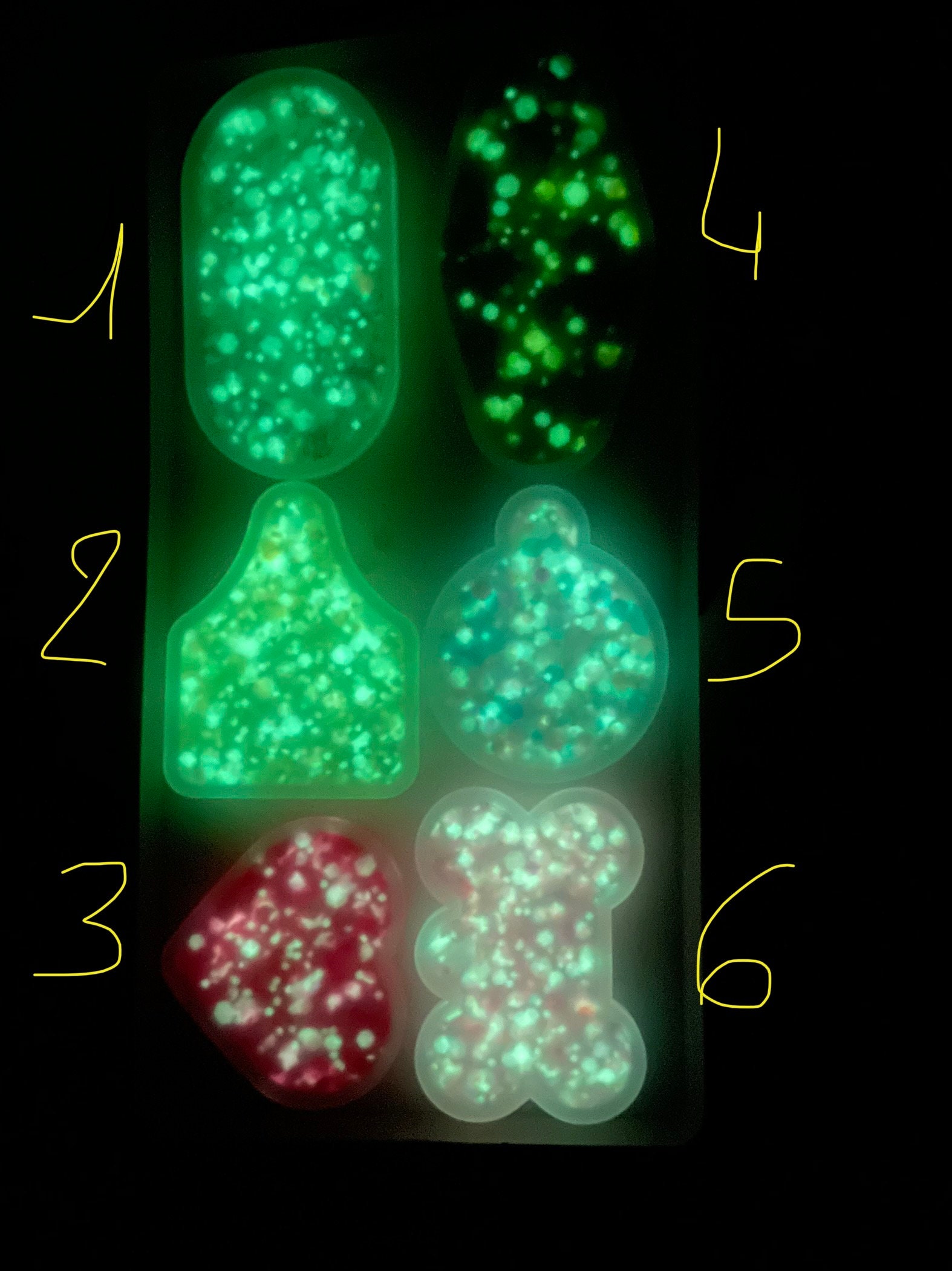 Médaille Phosphorescente Pour Chien