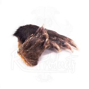 May include: Two brown animal paws with claws. The paws are furry and have a light brown color on the underside.