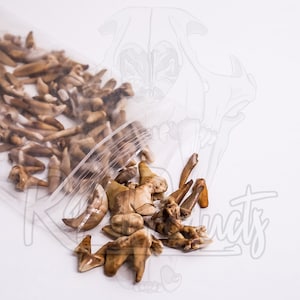 May include: A clear plastic bag filled with a large quantity of fossilized shark teeth. The teeth are various shades of brown and beige, and some are chipped or broken. The teeth are spilling out of the bag onto a white surface.
