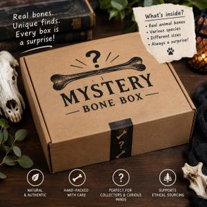 May include: A brown cardboard box labeled Mystery Bone Box with a black bone graphic and question mark. Text on the box reads: Real bones. Unique finds. Every box is a surprise! A paper insert lists: What's inside? Real animal bones, Various species, Different sizes, Always a surprise!