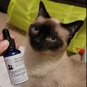 May include: A blue glass bottle with a dropper, labeled "Storms & Melodies Calming Remedies Pawsitive Change". The bottle is in front of a Siamese cat with blue eyes.