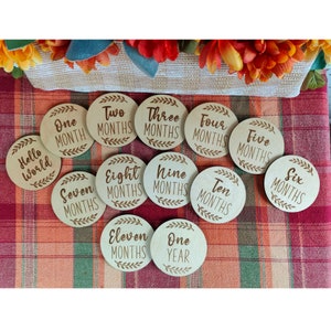 Baby Monthly Milestone Discs SVG File: Laser Engraving (Digital File)