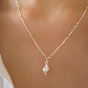 May include: A silver necklace with a delicate chain and a small seashell pendant.