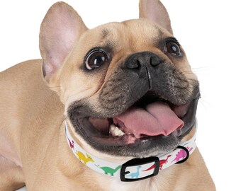 hypoallergenic collar
