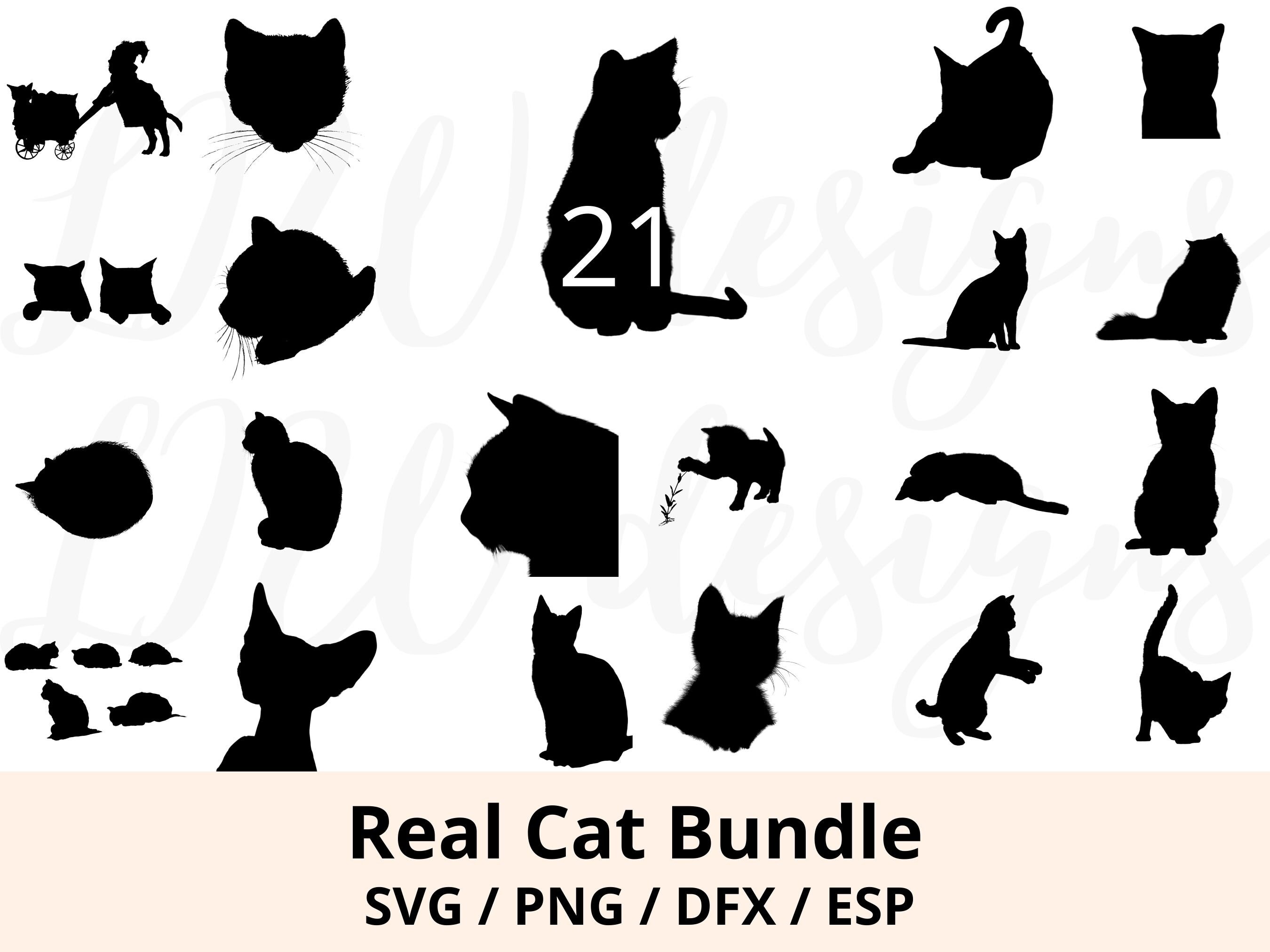 Real Cat Silhouette Svg Bundle Cat Svg Cat Cut Files Cat - Etsy