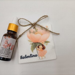 Car and interior air freshener