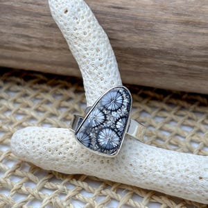 Pode incluir: Um anel de prata com uma pedra de coral fossilizado polida em forma de escudo. A pedra apresenta um padrão distinto de estruturas radiais brancas em forma de flor sobre um fundo cinzento-escuro e preto, engastada numa moldura de prata.