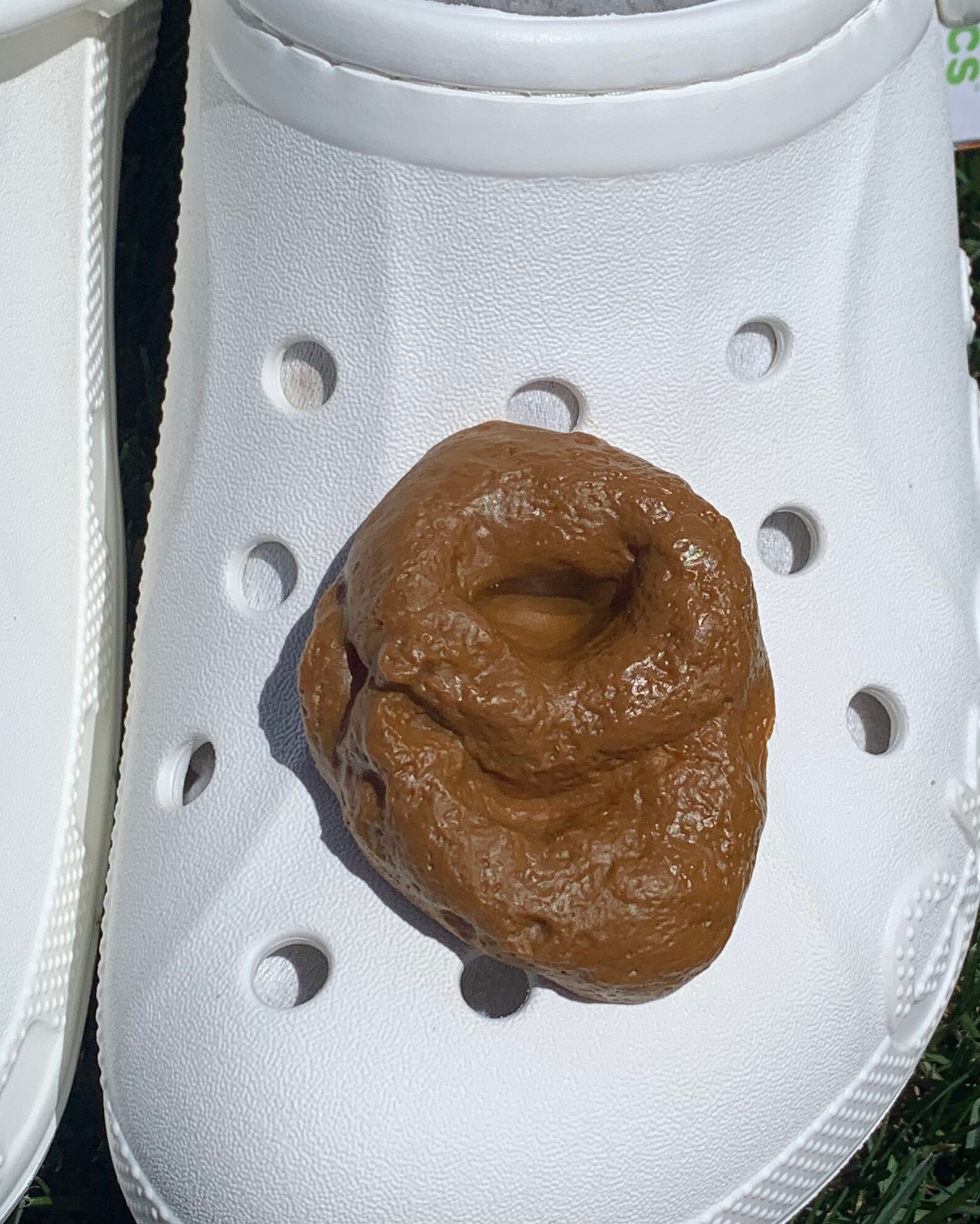 Funny Prank Poop Shoe Charms for Crocs Etsy