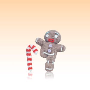 Sweet Magic: Shrek&#39;s Gingerbread Man -Gingerbread