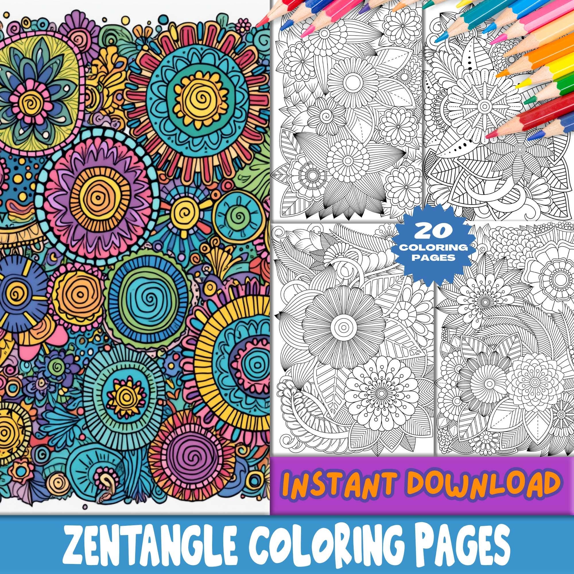 Páginas de colorear Zentangle para adultos – Libro de colorear imprimible, trazos gruesos y fácil, descarga digital (20 páginas)