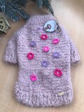 Jumpsuit cat / Hoodie sweater /  Chihuahua  jacket  / Pullover  for  dog / Puppy clothes/yorkie dress+ gift (bandanna) product logo
