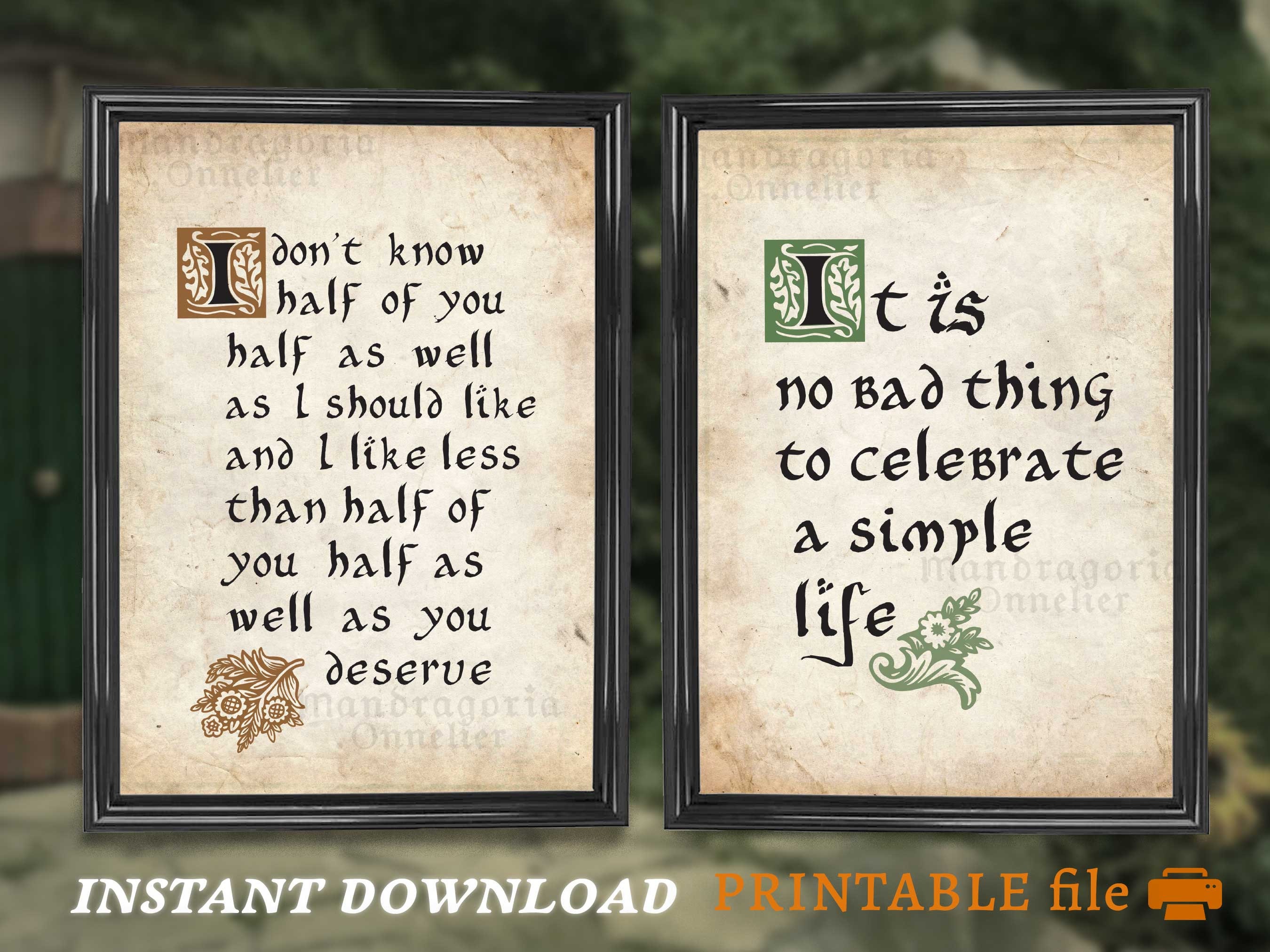 Discover 8 Half Bad and sally ideas | bad, half, half life and more, image size:2700x2025