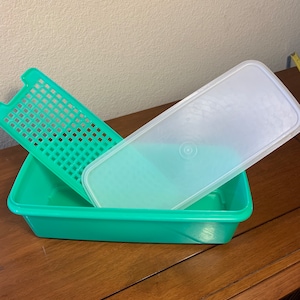 Tupperware Bread Server for Keeping Bread Loaves Fresh on The Counter and Ready for Table Serving