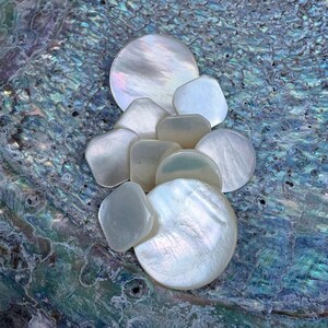 May include: A collection of iridescent mother-of-pearl buttons in various shapes and sizes, including circular and rounded square forms. Each button features a smooth, polished surface with a natural pearlescent sheen and white tones.