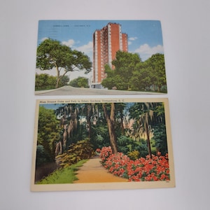 Two vintage 1950s postcards, South Carolina, Orangeburg and Columbia, illustrated and colourized