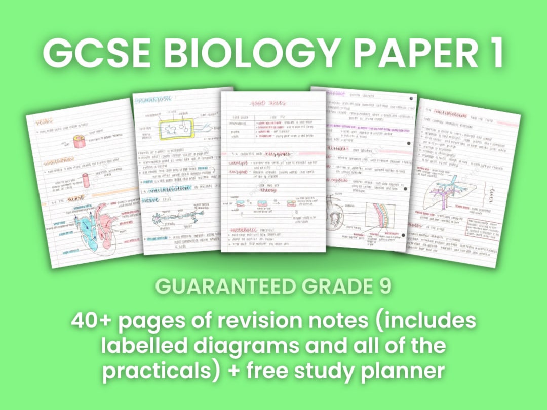GCSE Biology Paper 1 Revision Notes Grade 9 A Download Now Etsy gcse-biology-paper-1-revision-notes-grade-9-a-download-now-etsy