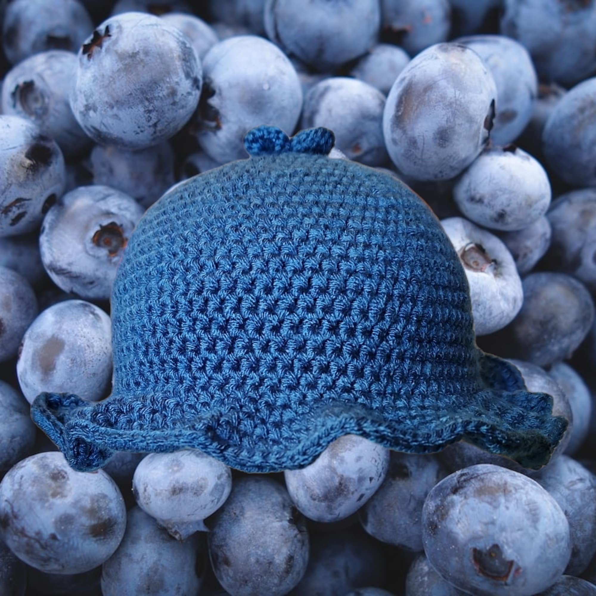 Handmade Crochet Blueberry Bucket Hat Etsy