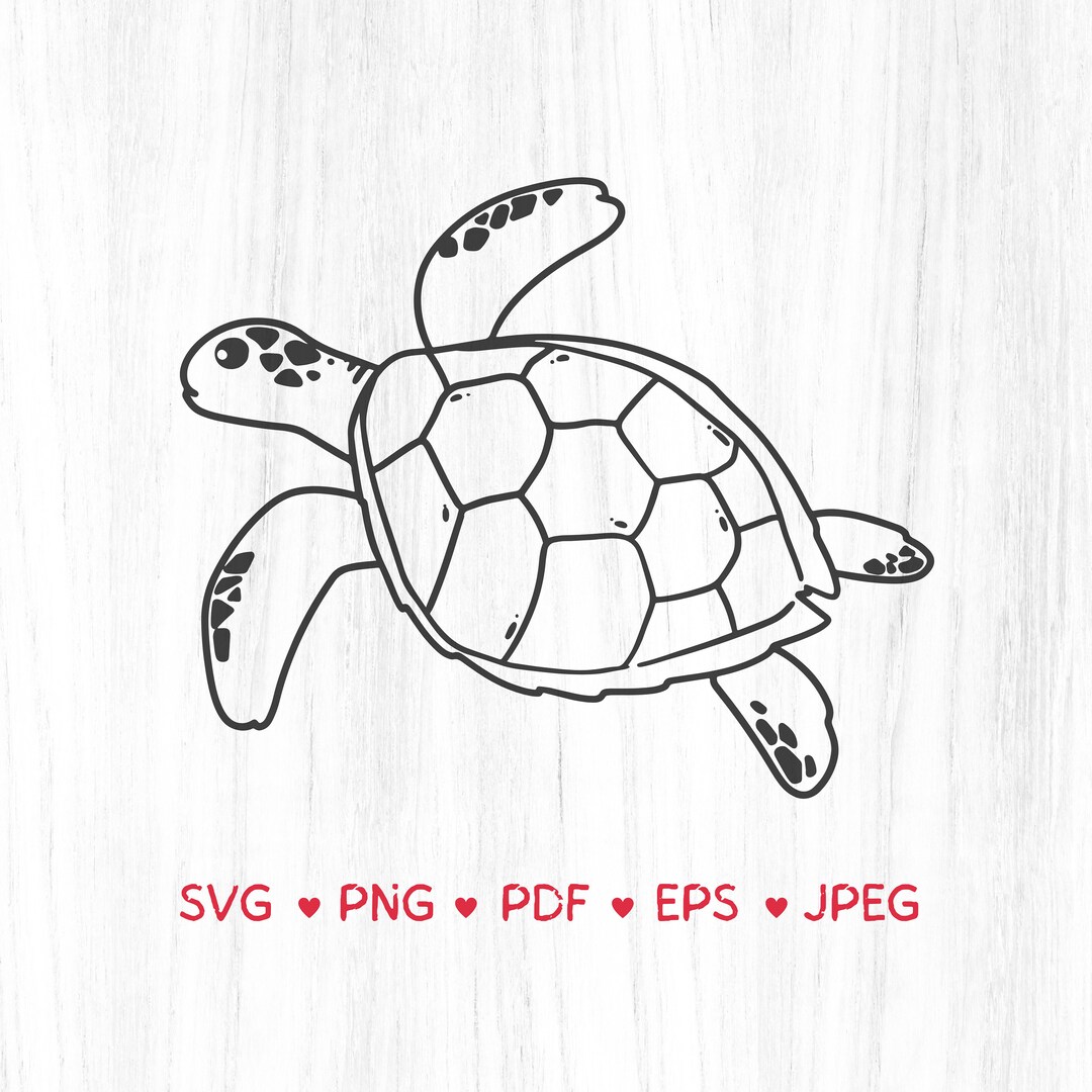 turtle-vector-cut-files-for-cricut-svg-png-pdf-eps-jpeg-sea