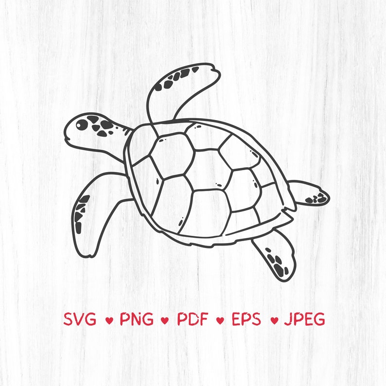 Turtle Vector, Cut Files for Cricut, SVG, PNG, PDF, Eps, Jpeg, Sea