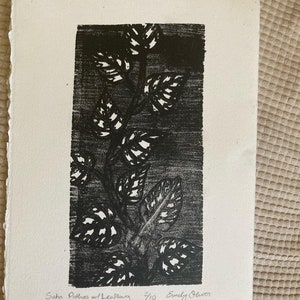 May include: Black and white print of a plant with large leaves. The print is titled "Satin Pothos w/ Leaf Hang" and is numbered 3/10. The artist's name is "Emily Oliver".