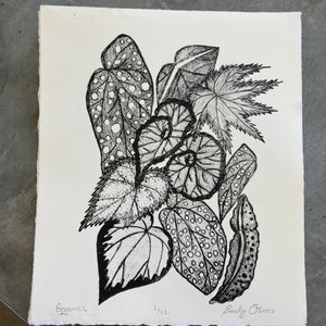 Begonia Leaves print