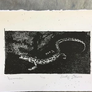 Salamander print
