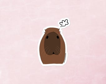 Adesivo Capibara arrabbiato