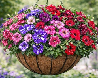 Hybrid Speckled Petunia Seeds